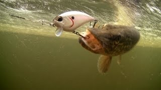 How to catch pike with DUO fishing lures for bass, muskie, perch. Рыбалка щука на воблер.