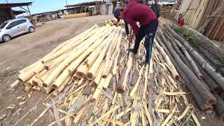 БЕРУНИЙ ТАХТА БОЗОРИ НАРХЛАРИ. how to peel trees