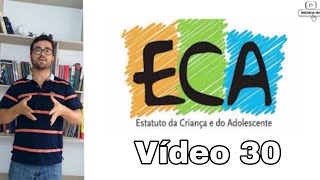 ECA Atualizado 2019 (parte 30) Comentado artigo a artigo