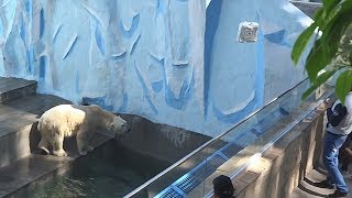 КАЙ. А я не верю тем словам: "Ещё закинешь раз - полезешь сам"))