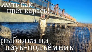 Рыбалка на паук весной. Рыбалка 2019. Рыбалка на карася. Подъемник паук экран.