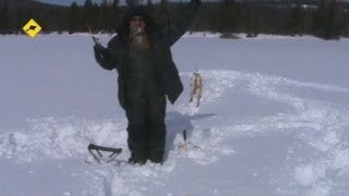 Рыбалка зима. Реки Тувы Клёвая лунка.