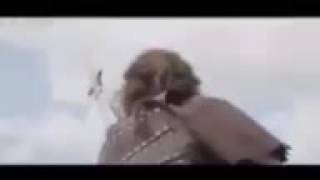 Parodie pour les algerien
