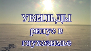 Увильды: рипус в  глухозимье