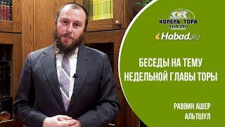 Домашнее Животное. Недельная глава Торы "Ваикра"