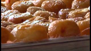 Քրիստինե Ղազարյան, Արագածոտն/չրերի արտադրություն/Kristine Ghazaryan Ashtarak dried fruit SME DNC