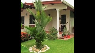 Vendida! Casa en  en Panama Brisas del Golf con Piscina