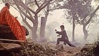 Грязный тигр,сумасшедшая лягушка (боевик,кунг-фу,Само Хунг)