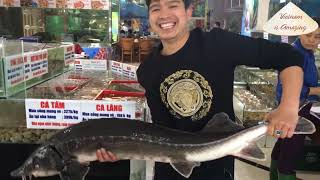 Supersized big Beluga caught from Vietnam Sea