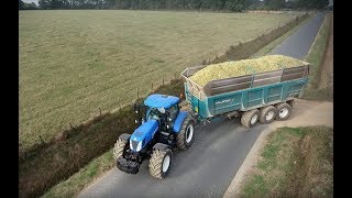 NEW HOLLAND T7 270 - ROLLAND 8844 à l'ensilage