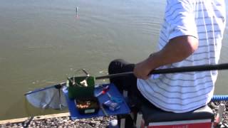 WATMORE FARM FISHERY, EVERSLEY CROSS, HOOK, HAMPSHIRE