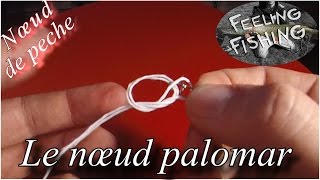 Nœud de peche : le nœud palomar ( agrafe, émérillon )