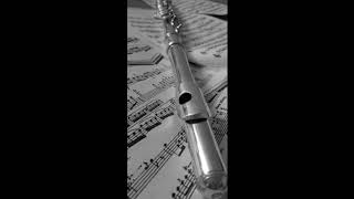Ohne dich by Rammstein (Flute and Guitar)