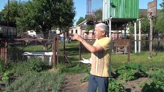 голубеводы Киевщины.в гостях у Петра.20.06.Мисник И