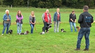 Hundeschule Berthold Schmalz