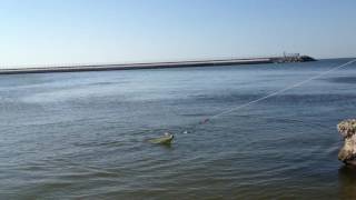 Ловля на кастинговую сеть . Рыбалка на Каспии. Каспийское море. Рыбалка в Дагестане.