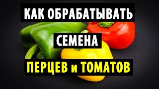 КАК ОБРАБОТАТЬ И ОБЕЗЗАРАЗИТЬ СЕМЕНА ПЕРЦЕВ И ТОМАТОВ ПЕРЕД ПОСАДКОЙ. Простые и эффективные способы