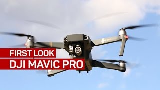 DJI Mavic Pro is a compact quad that doesn't sacrifice performance for size