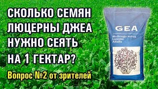 Сколько семян люцерны джеа нужно сеять на 1 гектар?