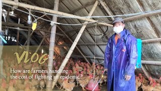 VLOG: How are farmers handling the cost of fighting an epidemic?