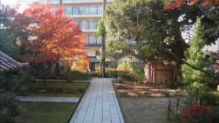 加賀・山代温泉　故郷の公園散策シリーズ⑤薬王院温泉寺の紅葉