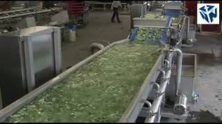 Food processing equipment by FTNON: Swirl bath - turbo washing system
