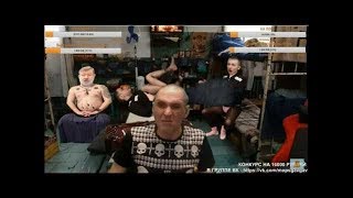 Мопс кушает корицу