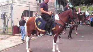 Policía Montada