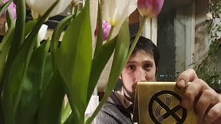 Стримим на 14 февраля. Кормим дракона именными тараканами на заказ