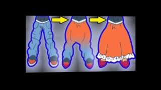 Ash Tg Transformations 16