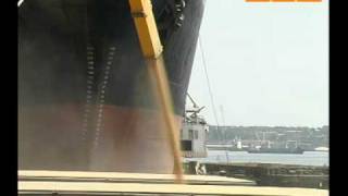 Прогноз урожая зерна снова подкорректировали
