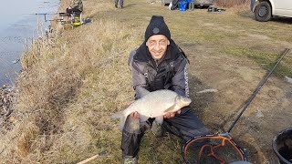 FEEDER FANATICS Zimowe grube ?? leszki ?? w zimowym ❄️ Wrocławiu ❄️