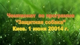 Чемпионат по международной программе "Защитная собака"