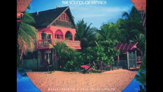 Relaxation Sounds - Jamaica Waves Crashing & Tree Frogs SInging