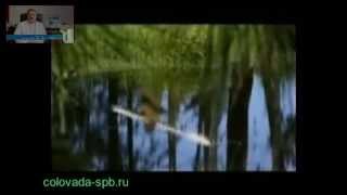 Трускавецкурорт. Очистка организма