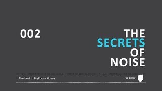 The Secrets Of Noise Nº2 │ Sarrox