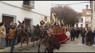 Procesión de San Antón 2020