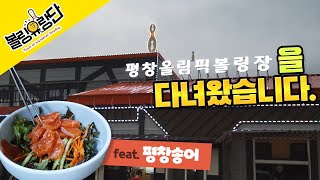 [볼링유랑단] 강원도 평창의 '평창올림픽볼링장'을 유랑하고 왔습니다. (feat. 평창 송어회)
