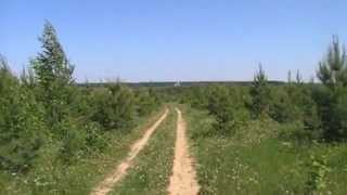 Такое милое и родное село Трескино-3
