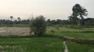 Khasaakk  Palakkad, Kerala, India