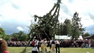 Midsommarstång erection.
