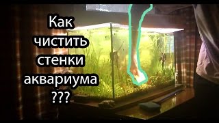 Как чистить стенки в аквариуме.Чистка стекла в аквариу Aqua Blog Подпишись!!!
