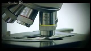 EBS 클립뱅크(Clipbank) - 유전자 변형 농산물(Genetically Modified Organisms)