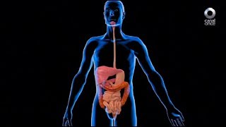 Diálogos en confianza (Salud) - Complicaciones del reflujo gastroesofágico (28/08/2017)