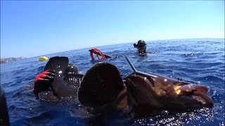 spearfishing adventures 05: "IONIAN DEEP" – dusky 10,6kg, dentex, groupers, brown meagres