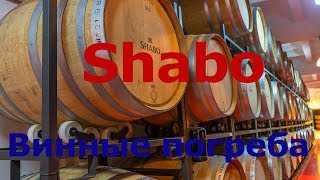 Затока - экскурсия в Шабо (Shabo), Центр культуры вина ШАБО