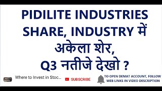 PIDILITE INDUSTRIES SHARE | INDUSTRY में अकेला शेर, Q3 नतीजे देखो | Pidilite Industries Q3 Results