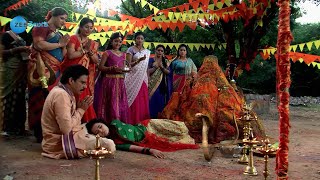 America Ammayi | Best Scene | Ep 712 | Marina Abraham, Seethakanth, Talluri | Zee Telugu