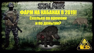 Сталкер онлайн. Stay Out. Фарм на кабанах в 2019 (Неактуально). Локация "Везувий".