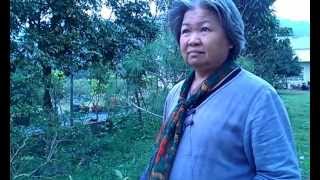 祖傳草藥達人埔里林大姊 園內草藥介紹VIDEO1308